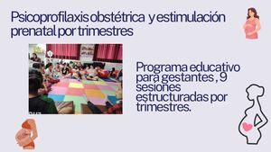 Psicoprofilaxis Obstétrica Y Esttimulación Prenatal Por Trimestres