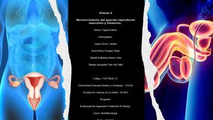 Aparato Reproductor Femenino Y Masculino