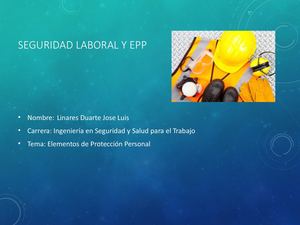 Seguridad Y Salud En El Trabajo Jose Linares