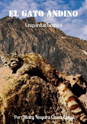 Gato Andino