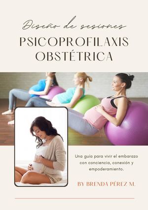 E Book Sesiones De Psicoprofilaxis Obstétrica Por Trimestres