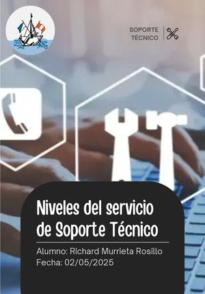 Niveles de Soporte Tecnico