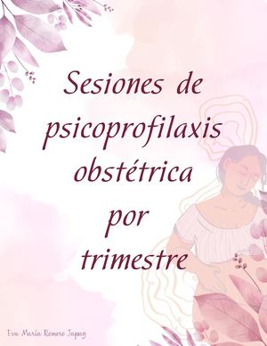 Sesiones De Psicoprofilaxis Obstétrica Por Trimestre