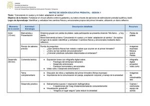 Matrices De Psicoprofilaxis Grupo 2 - UNMSM