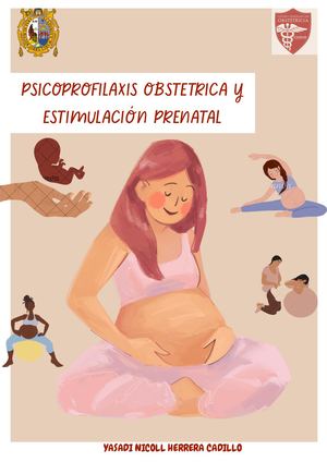 Sesiones De Psicoprofilaxis Obstétrica Por Trimestres