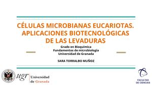 Aplicaciones Biotecnológicas De Las Levaduras