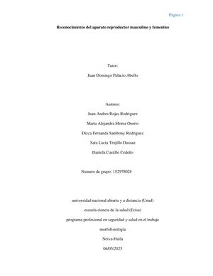 Reconocimiento Del Aparato Reproductor Masculino Y Femenino