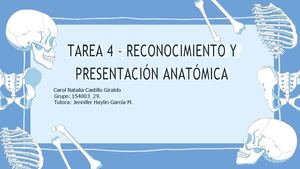 Reconocimiento Anatómico