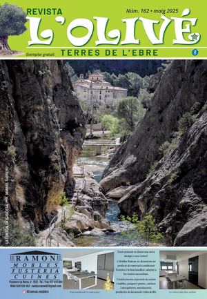 Revista Olive Nº 162