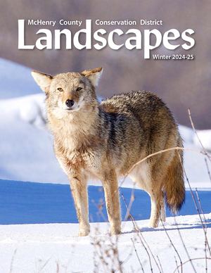 Winter 2024-25 Landscapes