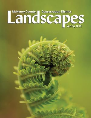 Calaméo - Spring 2025 Landscapes
