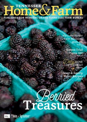 Summer 2025 Tennessee Home and Farm