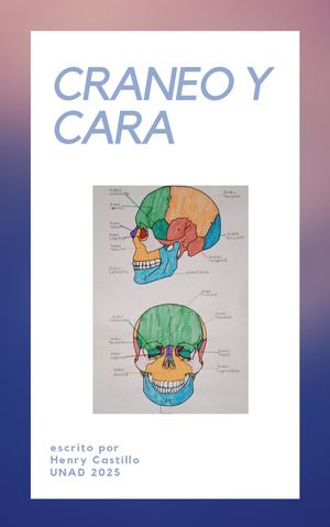 Libro De Anatomia De Craneo Y Cara