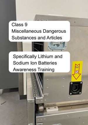 Lithium Ion Batteries Booklet