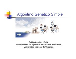 Algoritmos Genéticos