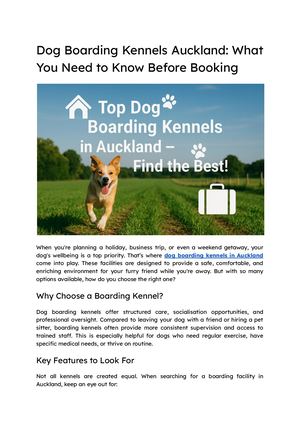 Dog Boarding Kennels Auckland What You Need To Know Before Booking