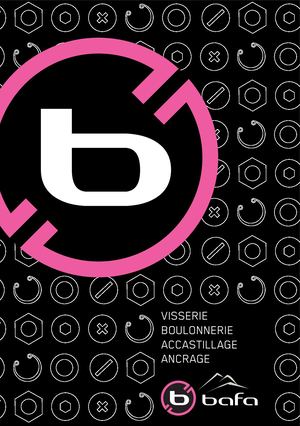 Catalogue Bafa