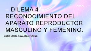Presentation 4