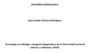 Cuadro Comparativo Craneo Cara