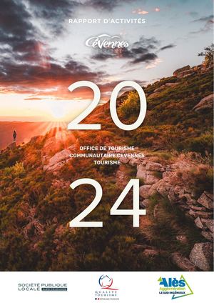 Rapport Activites 2024