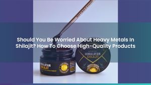 Should You Be Worried About Heavy Metals In Shilajit? How To Choose High-Quality Products
