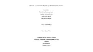Dilema 4 – Reconocimiento Del Aparato Reproductor Masculino Y Femenino