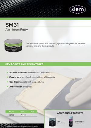Product Data Sheet SM31 - EN