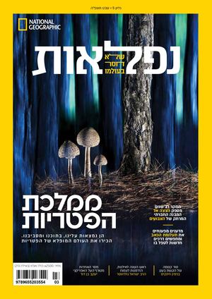 נפלאות שבט 5