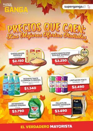 Catálogo Mayo 2025 - Super Ganga