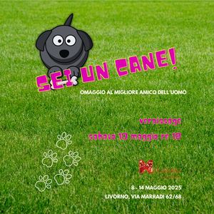 Sei Un Cane! Il Catalogo Della Mostra Alla Melograno Art Gallert Di Livorno