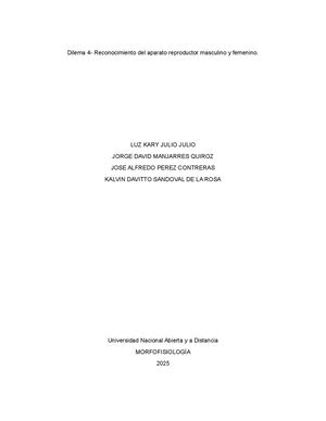 Dilema 4 G 152978028 34