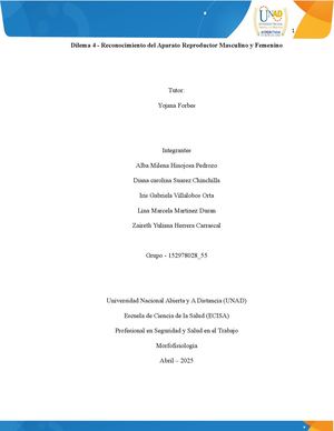 Dilema 4 Reconocimiento Del Aparato Reproductor Masculino Y Femenino