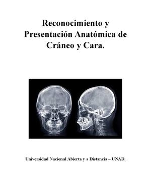 Reconocimiento Y Presentación Anatómica De Cráneo Y Cara (1)