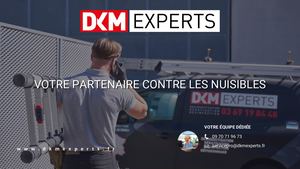 DKM Experts 2025