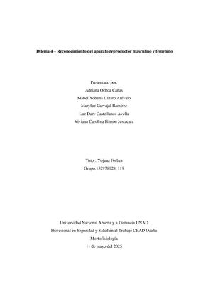 Dilema 4 Reconocimiento Del Aparato Reproductor Masculino Y Femenino
