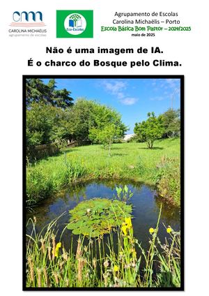 Charco do Bosque pelo clima
