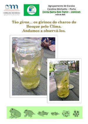 Girinos do nosso charco...