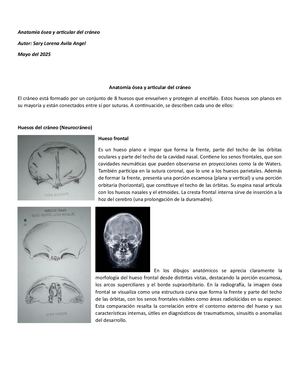 ANATOMIA OSEA Y ARTICULAR DEL CRANEO Y CARA