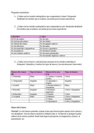 Anatomia Radiologica Tarea 4 (2)
