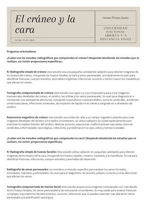 Preguntas Orientadoras
