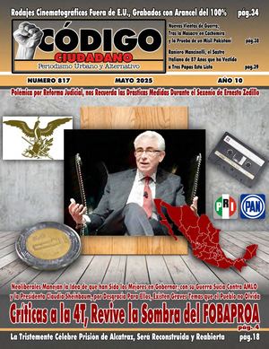 CODIGO CIUDADANO 817