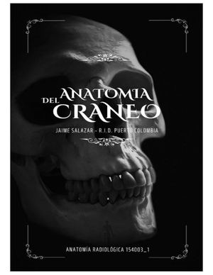 Anatomia Ostologica Cara y Craneo