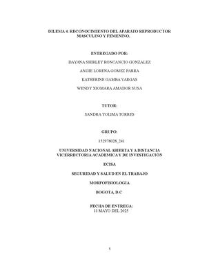 Dilema 4 Grupo 152978028 241