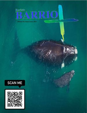 Edición 015 Mayo, Punta Arenas 2025