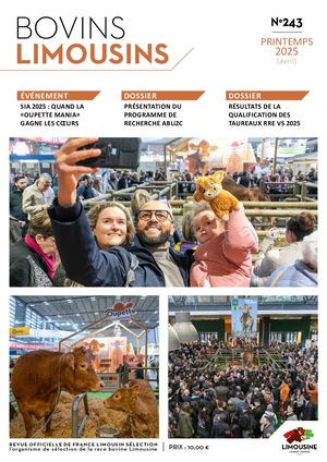 Bovins Limousins 243 / Extrait