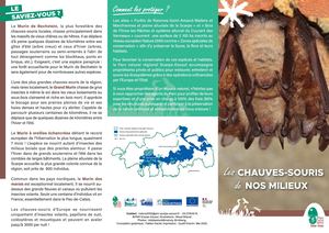 Chauves-souris en Scarpe-Escaut