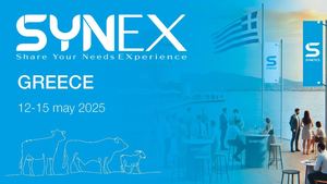 B A Pyrpilis El Mercado Griego