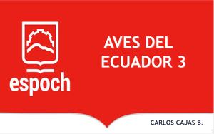 6 3 Taxonomia Aves CHARADRIIFORMES