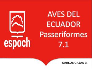 7 1 Passeriformes Sapayoidae Pipridae Opt