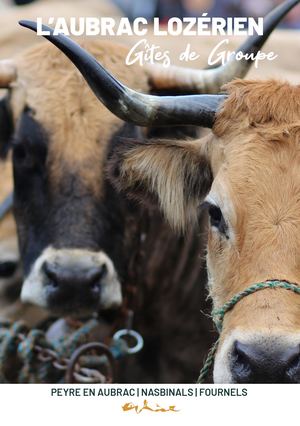 Guide Gîte De Groupe